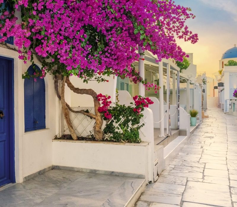 View of Oia street in the mornong, Santorini, Greece